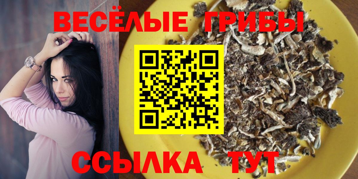 Псилоцибиновые грибы Cubensis Благовещенск