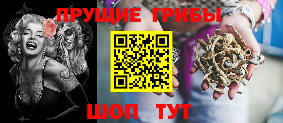 Благовещенск  Галлюциногенные грибы мицелий  где купить   Вход с VPN 